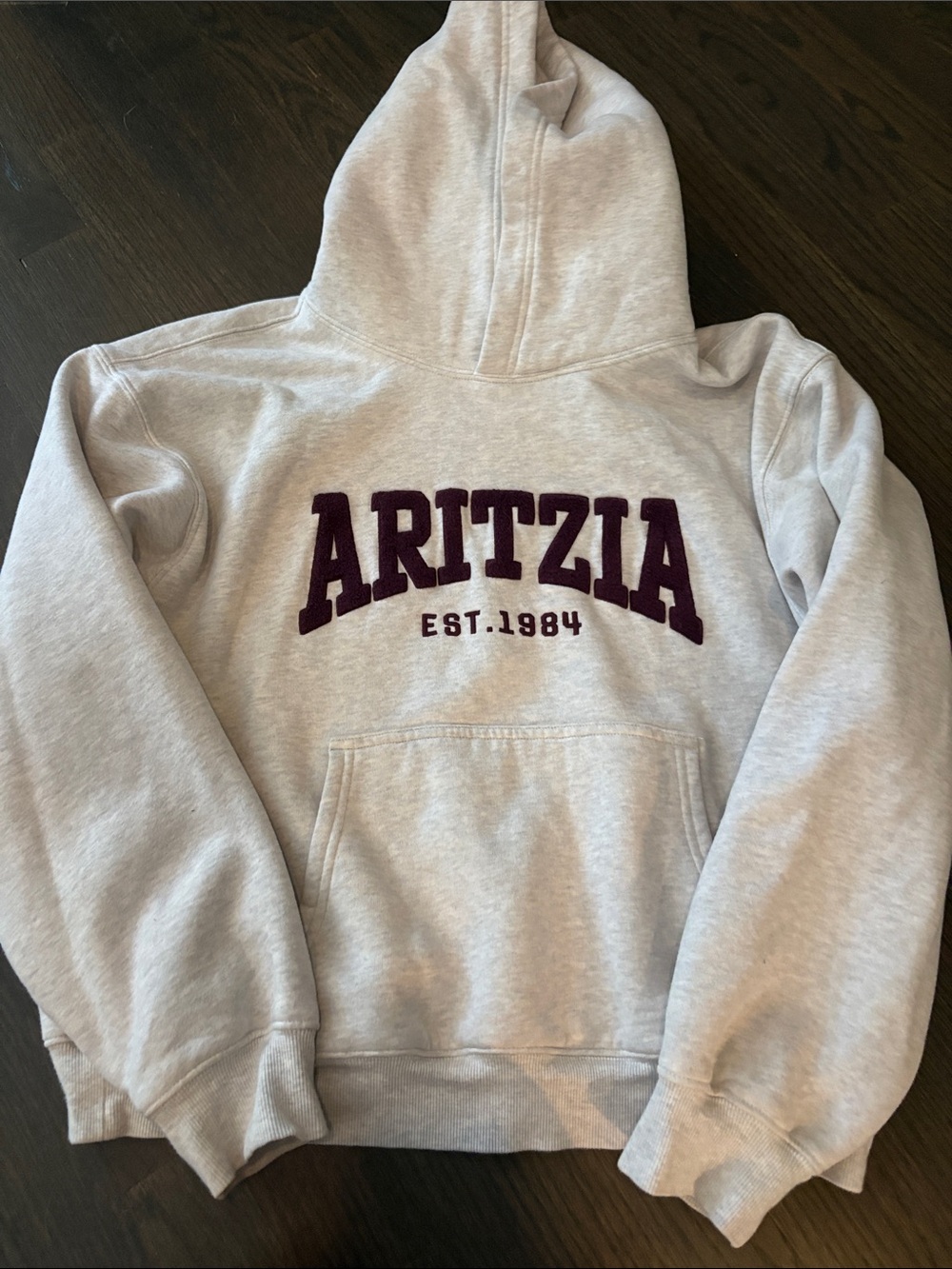 Aritizia Sweatshirt PERFECT condition!